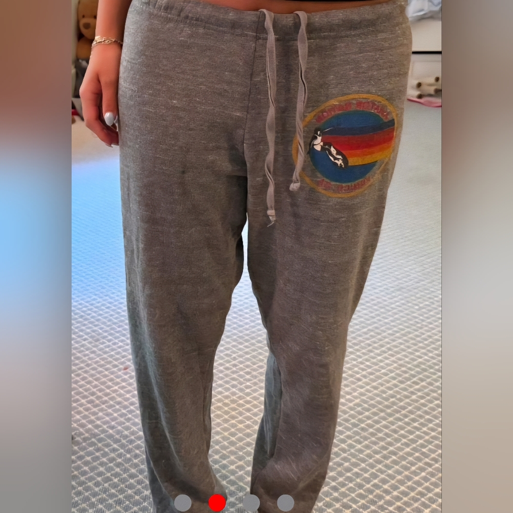 Aviator Nation Gray Venice Sweatpants Size XS